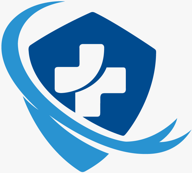 DMS PRO Software Logo